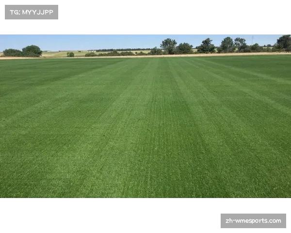 通讯：伯纳乌球场草皮下铺设新型排水系统，旨在适应更高强度攻防转换节奏